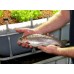 Skretting Fish Food - Spectra Floating 7mm x 4kg